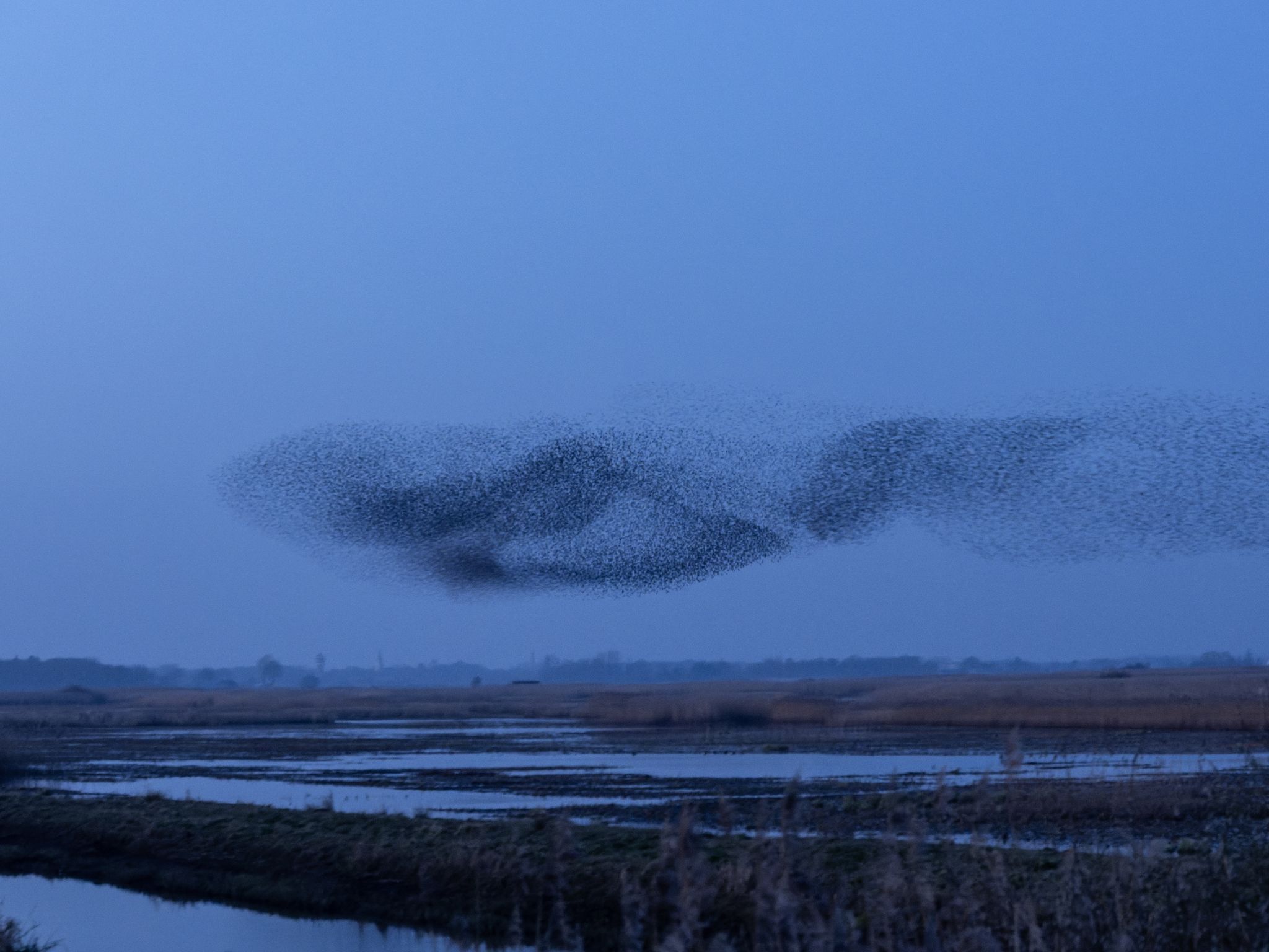 260319 2001 J  2JR0307 DxO DeepPRIME 3